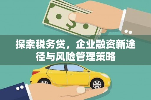香山探索税务贷，企业融资新途径与风险管理策略