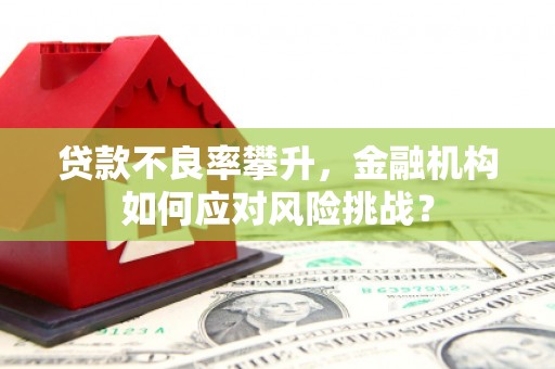 香山贷款不良率攀升，金融机构如何应对风险挑战？