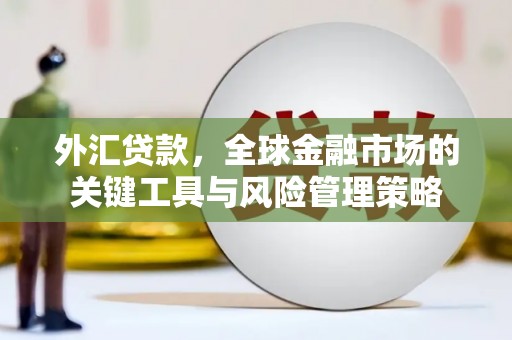 香山外汇贷款，全球金融市场的关键工具与风险管理策略
