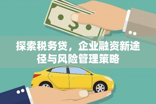 香山探索税务贷，企业融资新途径与风险管理策略