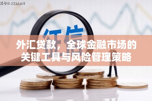 香山外汇贷款，全球金融市场的关键工具与风险管理策略