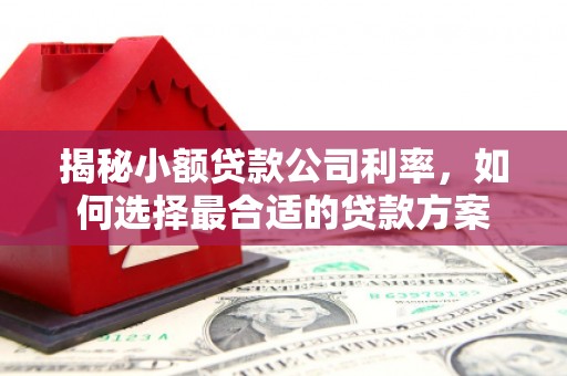 香山揭秘小额贷款公司利率，如何选择最合适的贷款方案